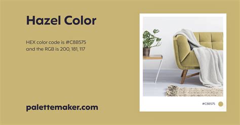 Hazel Color - HEX #C8B575 Meaning and Live Previews - PaletteMaker