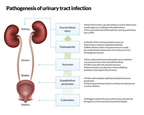 Pin on Diseases