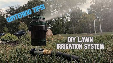 Installing a DIY Above Ground Irrigation System | Combating Heat Stress - YouTube