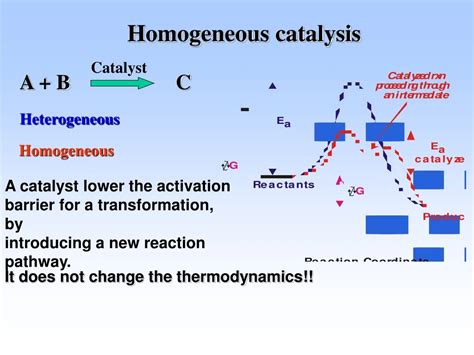 PPT - Homogeneous catalysis PowerPoint Presentation, free download - ID ...