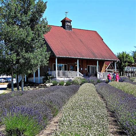 Sequim Washington, on the north Olympic Peninsula