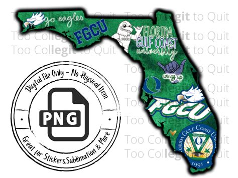 NCAA Florida Adult Coast Crew Eagles Flags Gulf Socks Latest item Gulf