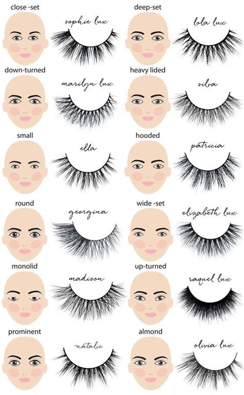 How to pick the perfect pair of lashes! | Eye makeup, How to apply eyeshadow, Makeup