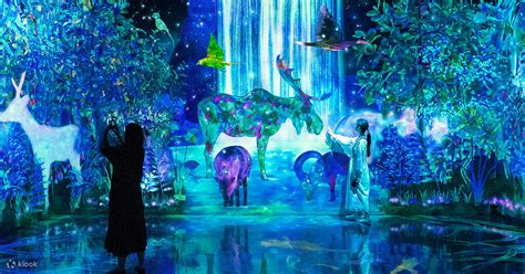 Book for tickets to teamLab Forest in E・ZO FUKUOKA - Klook United States