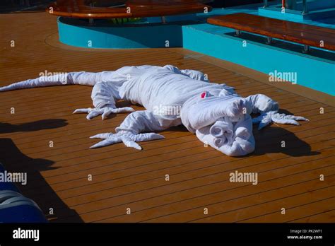 Carnival Victory Towel Animal display Stock Photo - Alamy