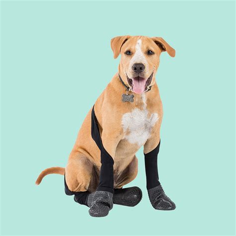 Walkee Paws Snug Fit Outdoor Leggings - PawFlex | Paw Bandages for Dogs ...