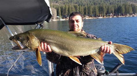 Donner Lake Fish Report - Truckee, CA