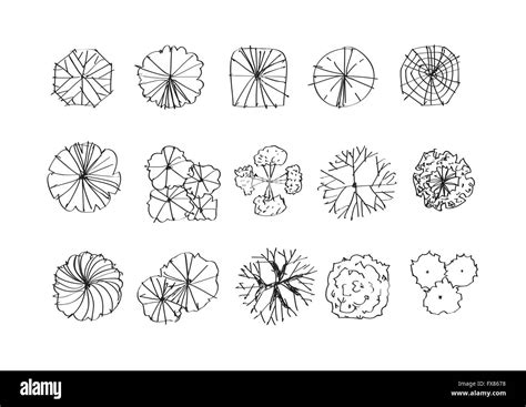 Trees top view for architecture landscape design projects Stock Vector ...