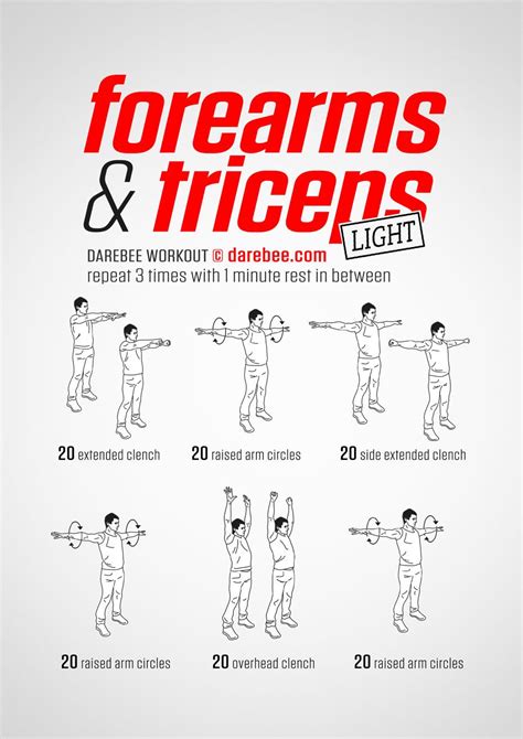 Forearms & Triceps workout. | Bicep and tricep workout, Biceps workout, Triceps workout