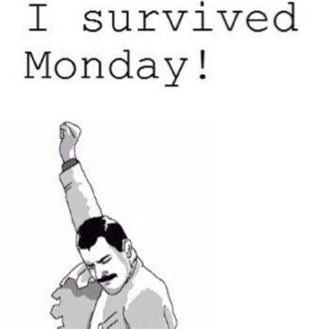 I survived MONDAY! | Funny quotes, Morning humor, Daily funny