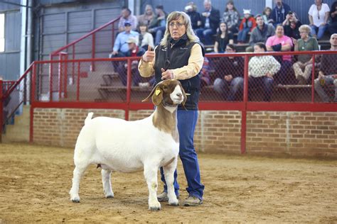 Boer Goats for Sale | JC Boer Goats - JCBoerGoats.com