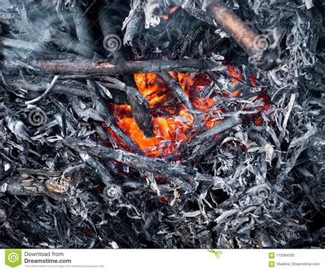 Smoldering Ashes of a Bonfire Stock Photo - Image of energy, farming ...