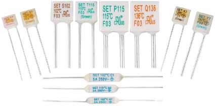 What is the Main Function of the Thermal Fuse?_