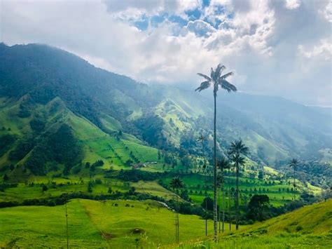 Hiking Cocora Valley: the Top Thing to do in Salento - My Flying Leap