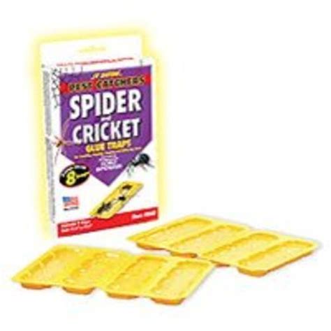 Jt Eaton 844 Spider & Cricket Trap Pack 4 - Bed Bath & Beyond - 13443581