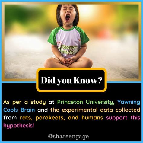 Yawning is a Biological Brain Cooling Mechanism! | Hypothesis, Yawning, Princeton university