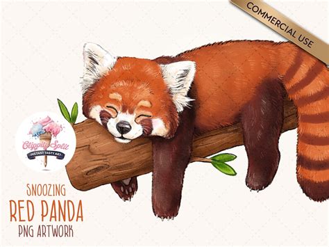 Cute Drawings Of Red Pandas