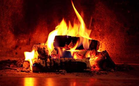 Savills Blog | Put another log on the fire – it's good for the environment