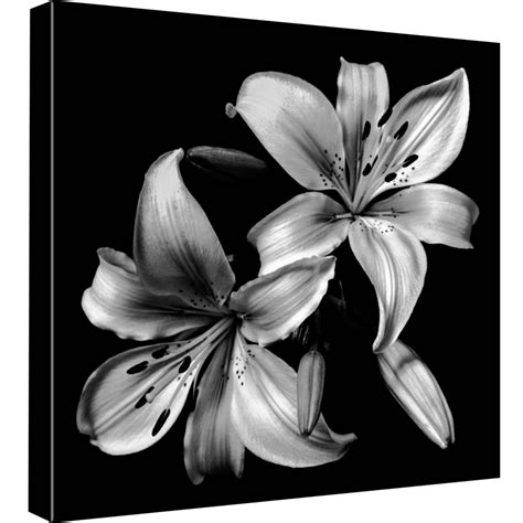 Lily Flower Tattoos, Lily Tattoo, Frames On Wall, Framed Wall Art, Canvas Art Prints, Canvas ...