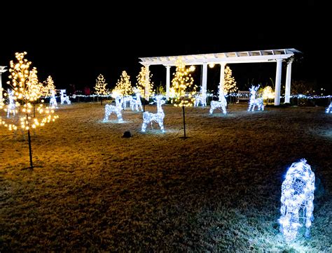 Botanical Gardens Christmas Lights Display - Sincerely Cait