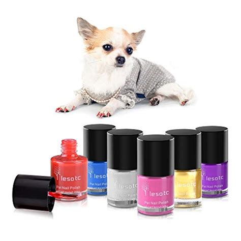 The Best Dog Nail Polish - Dogtime