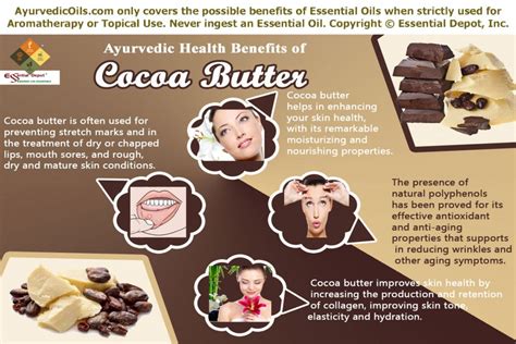 Health benefits of Cocoa butter | Essential Oil