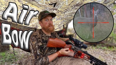 Deer Hunting With The AirBow Air Rifle / Day 18 Of 30 Day Survival ...