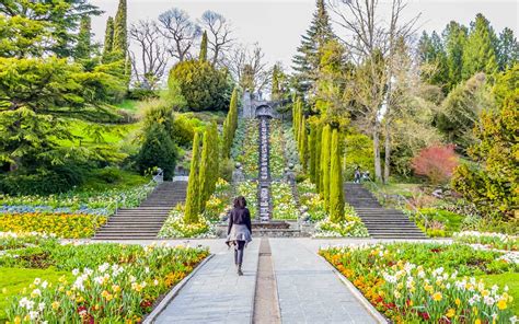 Mainau Island: A Complete Guide to the Stunning Flower Island in Germany - The Swiss Freis