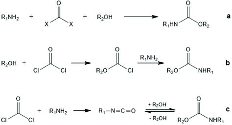 Carbamate synthesis. (a) reaction between amines, carbonyl group and ...