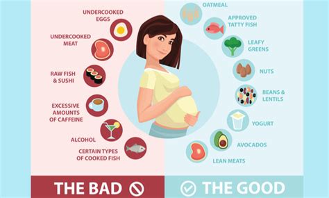 Diet Tips For A Healthy Pregnancy: Foods To Eat And Avoid - Tata 1mg ...