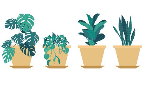 Plant Graphic by empatsekawanstudio · Creative Fabrica