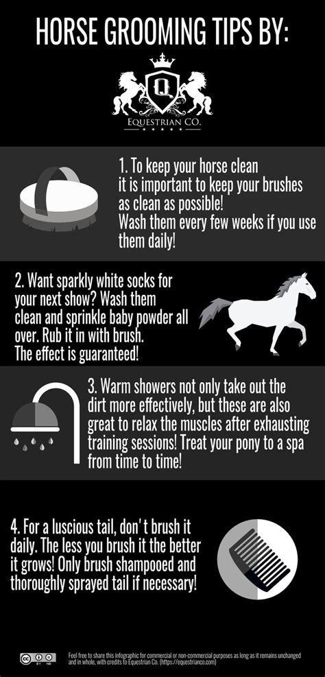 Horse Grooming Tips [Infographic] | Horse grooming, Grooming, Horses