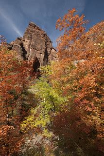 Autumn Colors | Autumn colors and red Navajo Sandstone. NPS … | Flickr