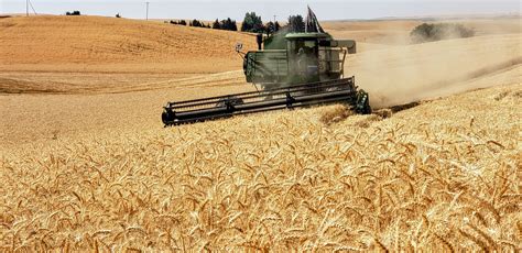 Harvest 2022 — Washington Wheat Foundation