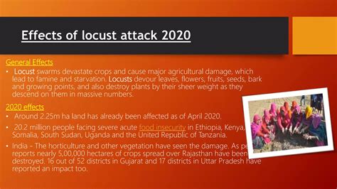 Locust attack | PPT