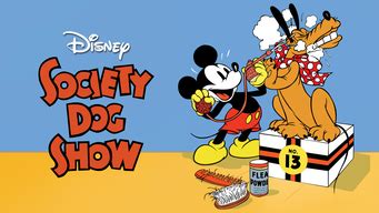 Society Dog Show (1939) - Disney+ | Flixable