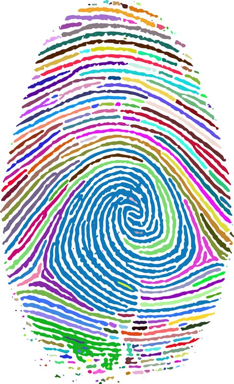 Fingerprint Footprint Clip art - finger print png download - 1406*2302 - Free Transparent ...