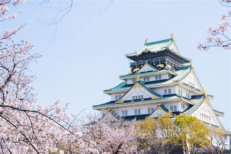 Osaka Castle Cherry blossoms :: Behance