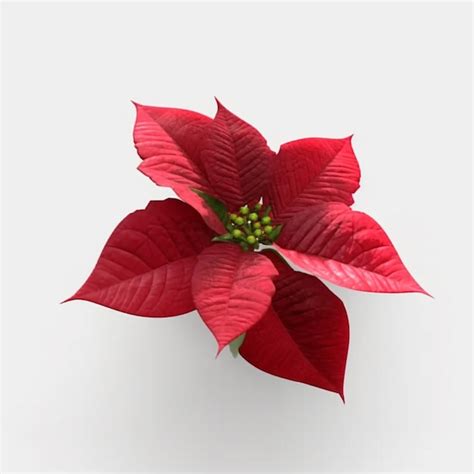 Premium AI Image | A red poinsettia with green leaves and red leaves.