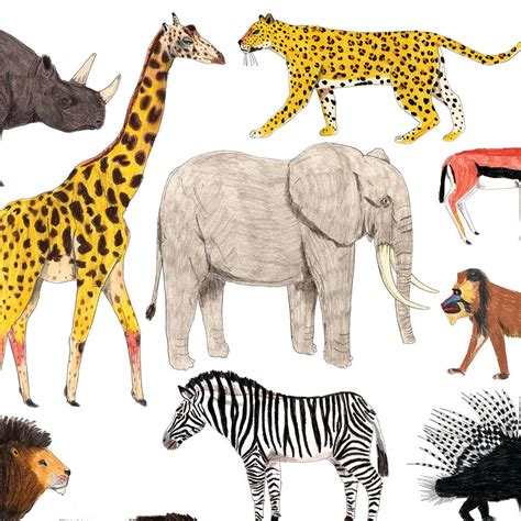 african animals print by james barker | notonthehighstreet.com