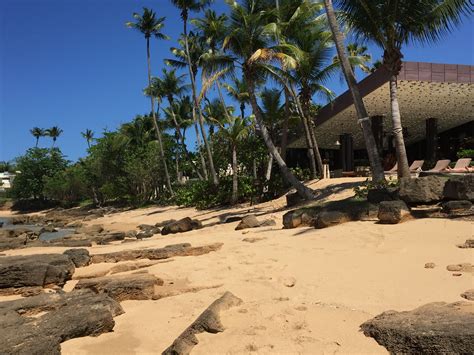 Pin by C on Dorado Beach, Puerto Rico | Beach, Puerto rico, Outdoor