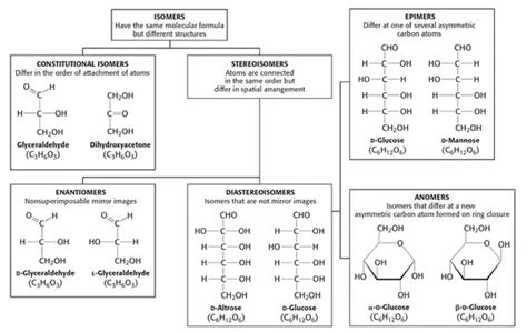 What Type of Isomers Are Glucose and Fructose