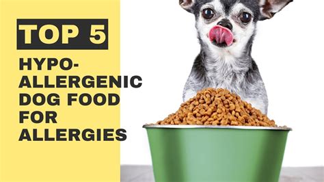 Top 5 Hypoallergenic Dog Food for Allergies - Allergies In Dogs - YouTube