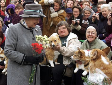 Two new corgi puppies bring comfort to Queen Elizabeth