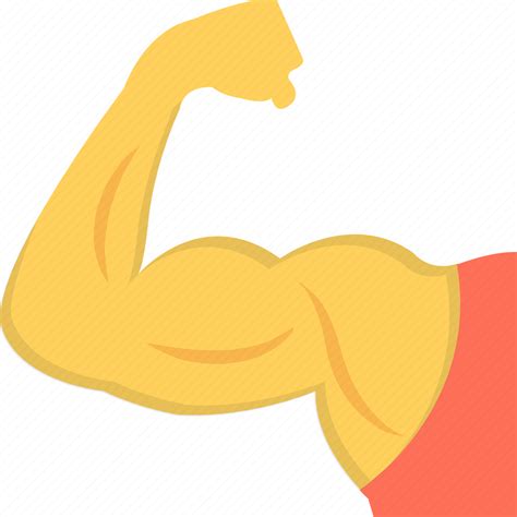 Biceps, fitness, muscle, muscular arm, strong arm icon - Download on ...