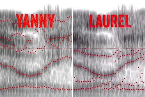 Featured video: The neuroscience behind "Yanny" vs. "Laurel" | MIT News | Massachusetts ...