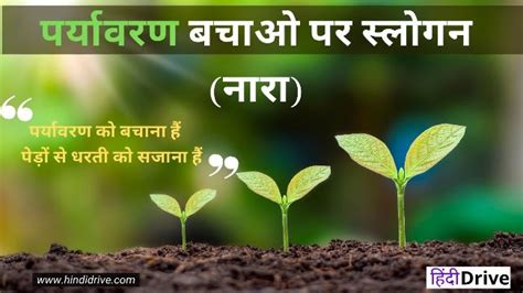 20+पर्यावरण पर नारा | Best Slogan on Environment in Hindi - HindiDrive