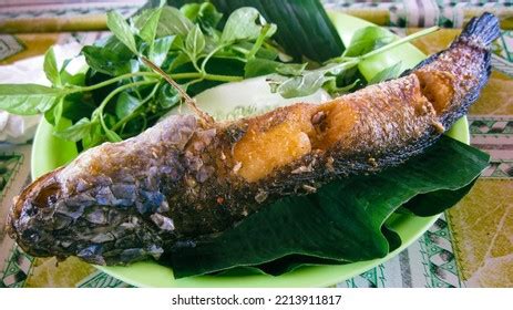 Ikan Gabus Goreng Fried Freshwater Fish Stock Photo 2213911817 | Shutterstock