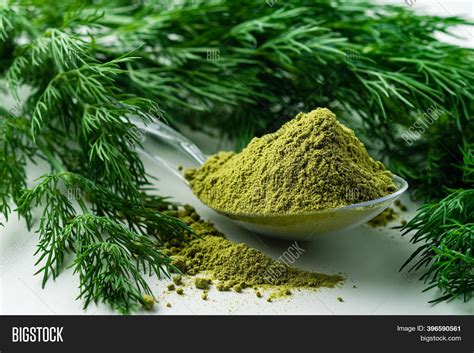 Dried Dill Weed Fresh Image & Photo (Free Trial) | Bigstock