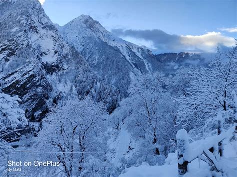 Harshil Valley Mini Switzerland - Great Adventure Gangotri